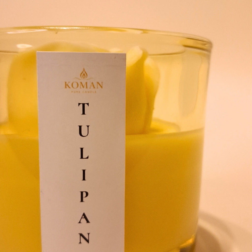 Tulipan